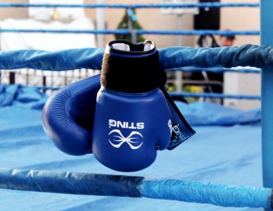 Boxing Glove Water Boxing Equipment Inflatable photo