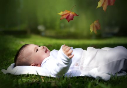Child Infant Grass Leaf