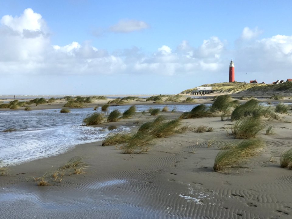 Coast Shore Coastal And Oceanic Landforms Sea
