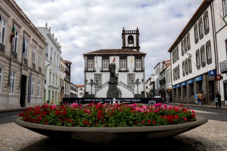 Town Town Square City Flower