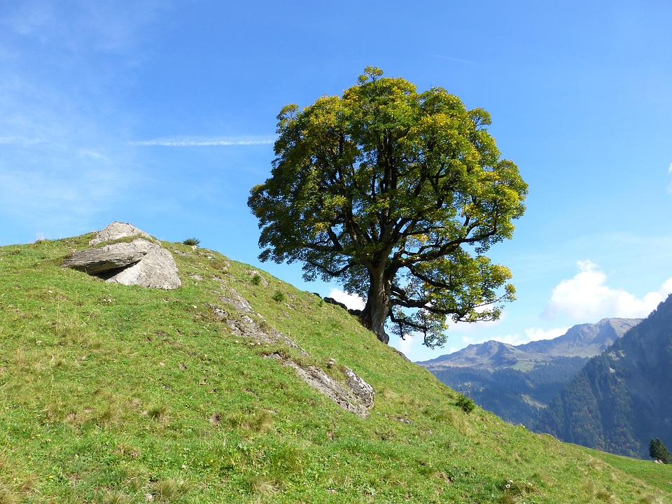 Landscape mountains meadow photo