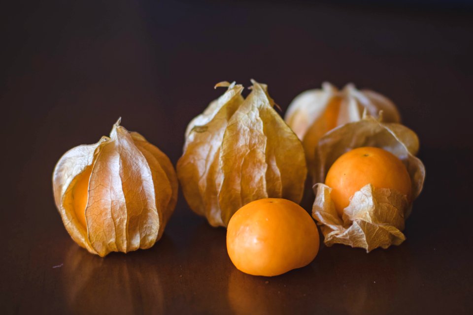 Closeup Photography Of Psysaliss Fruit