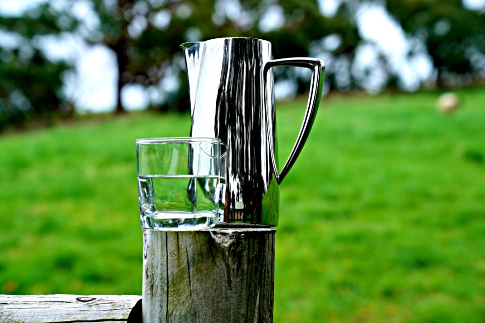 Grass Water Grass Family Drinkware