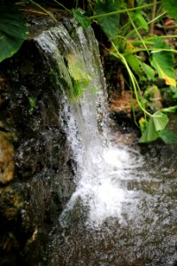 Water Waterfall Nature Body Of Water