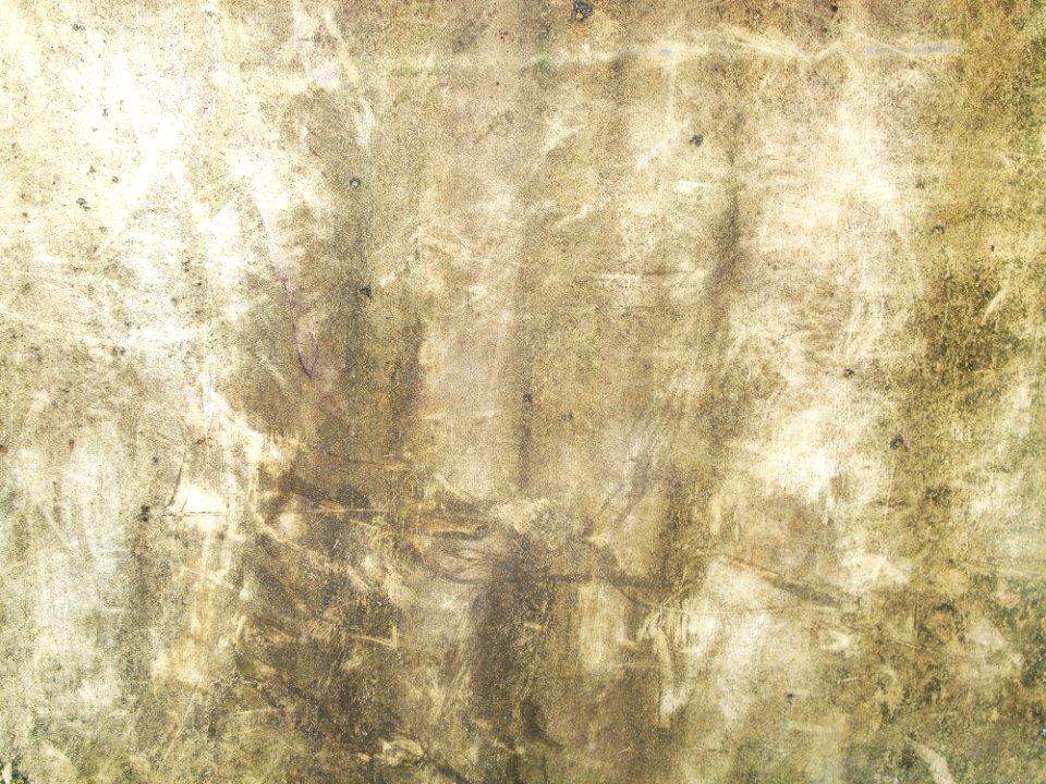 Texture Wall Grass Pattern