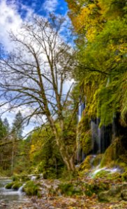 Water Nature Vegetation Tree