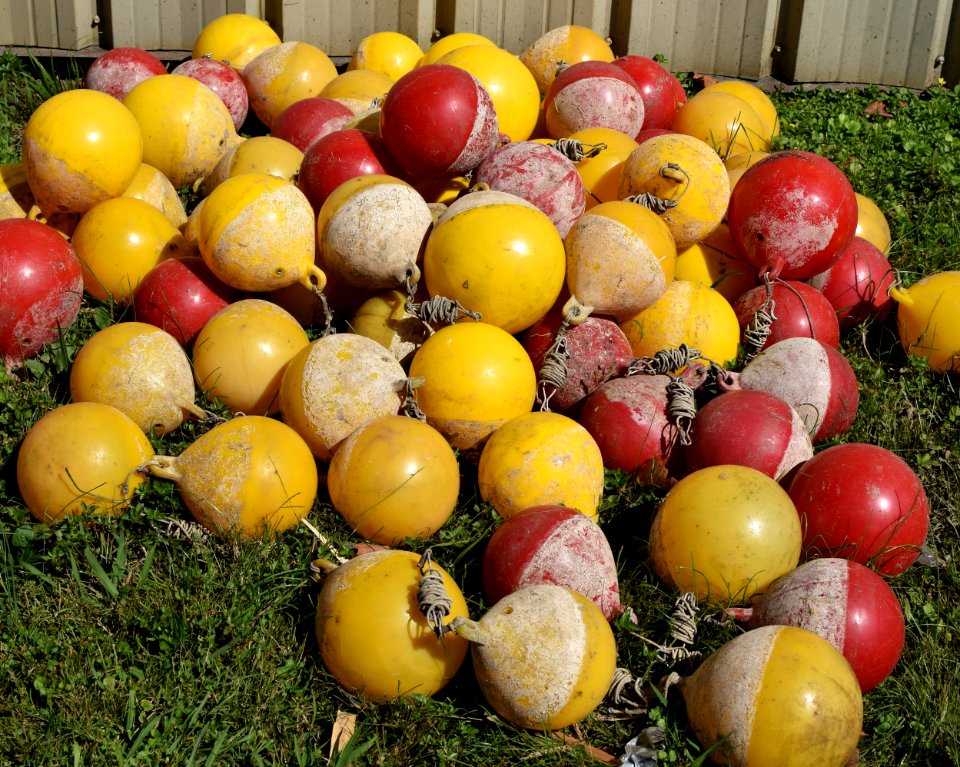 Natural Foods Fruit Food Produce