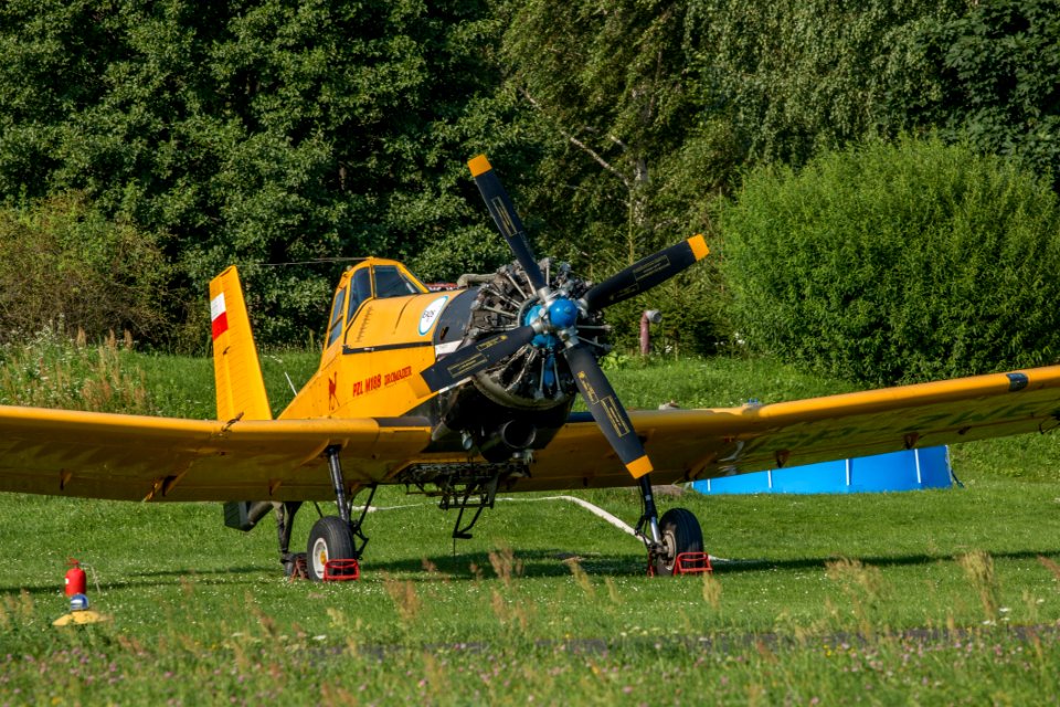 Aircraft Model Aircraft Plant Monoplane