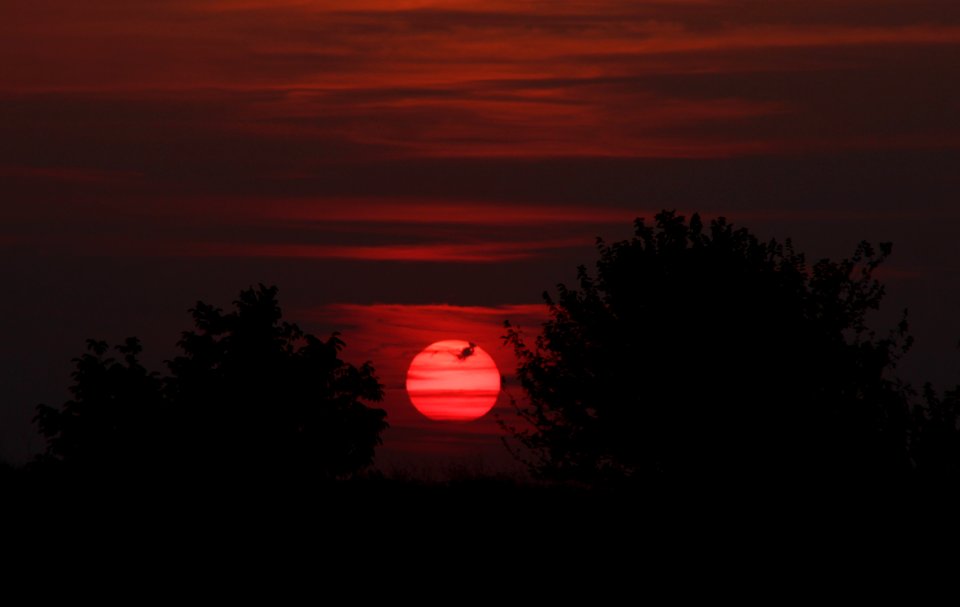 Sky Red Sky At Morning Sunrise Sunset