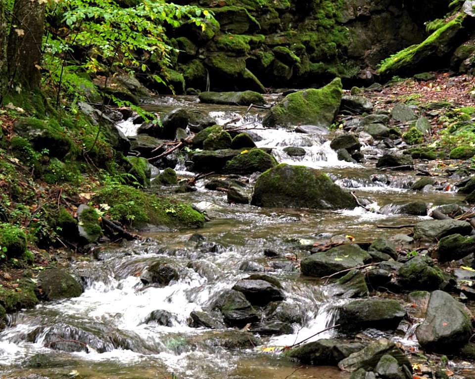 Stream Water Nature Body Of Water