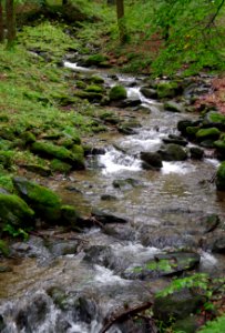 Stream Water Nature Creek