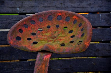 Wood Texture