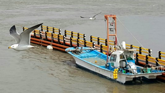 Water Transportation Water Resources Watercraft Boat