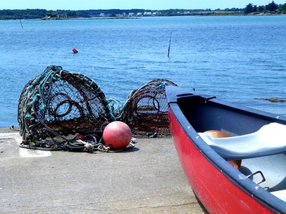 Boat Water Transportation Water Boating