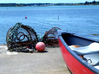 Boat Water Transportation Water Boating photo