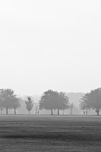Mist misty morning photo