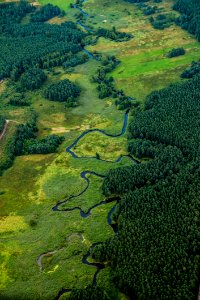 Vegetation Green Aerial Photography Ecosystem