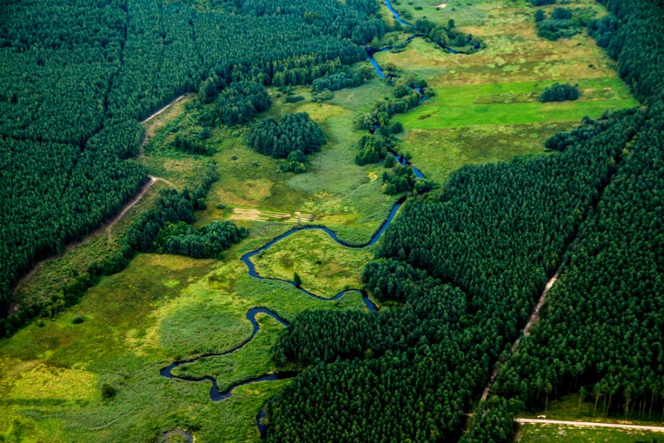 Vegetation Nature Reserve Ecosystem Highland