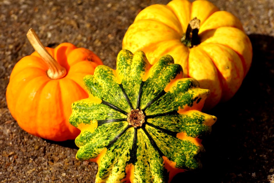 Vegetable Winter Squash Cucurbita Calabaza photo