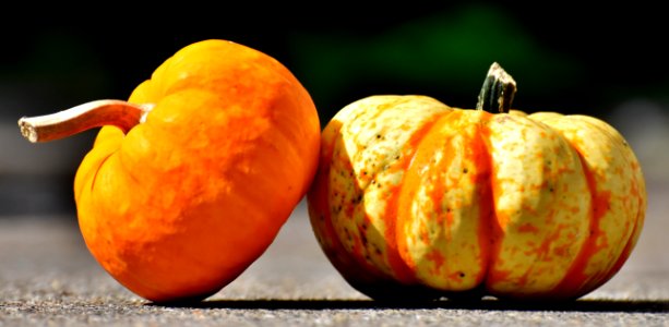 Winter Squash Cucurbita Calabaza Orange