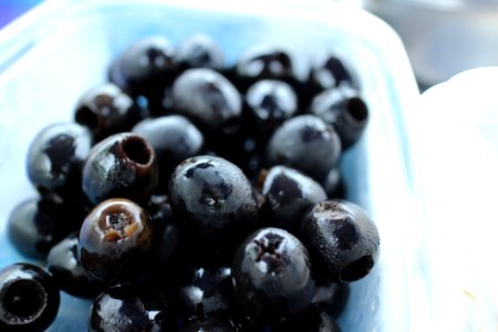 Fruit Blueberry Food Berry photo