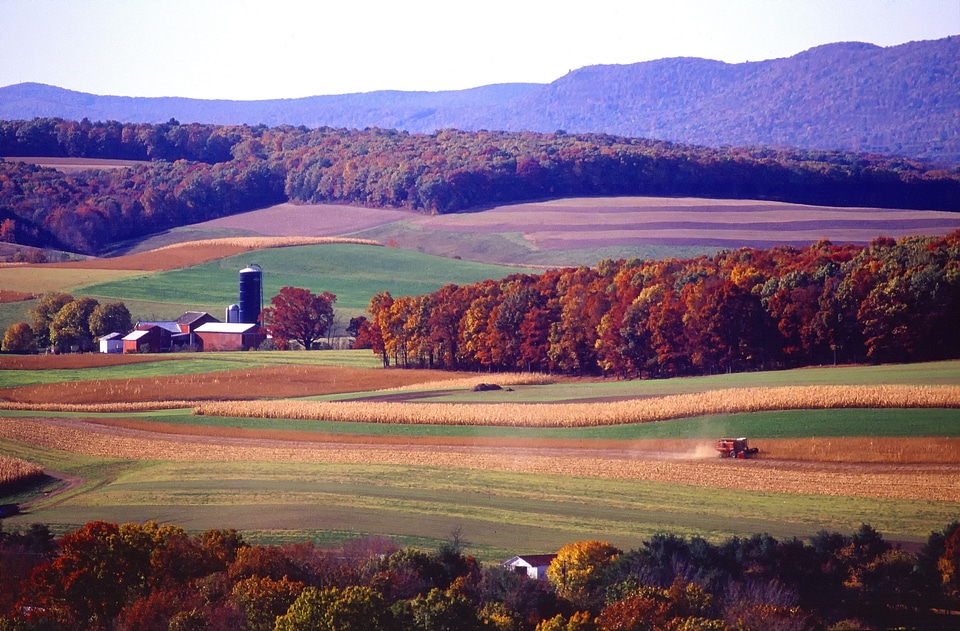 Farm rural tractor