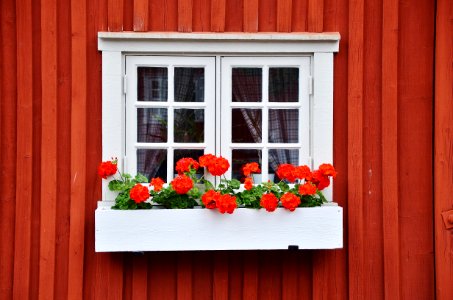 Flower Window Home Floristry photo