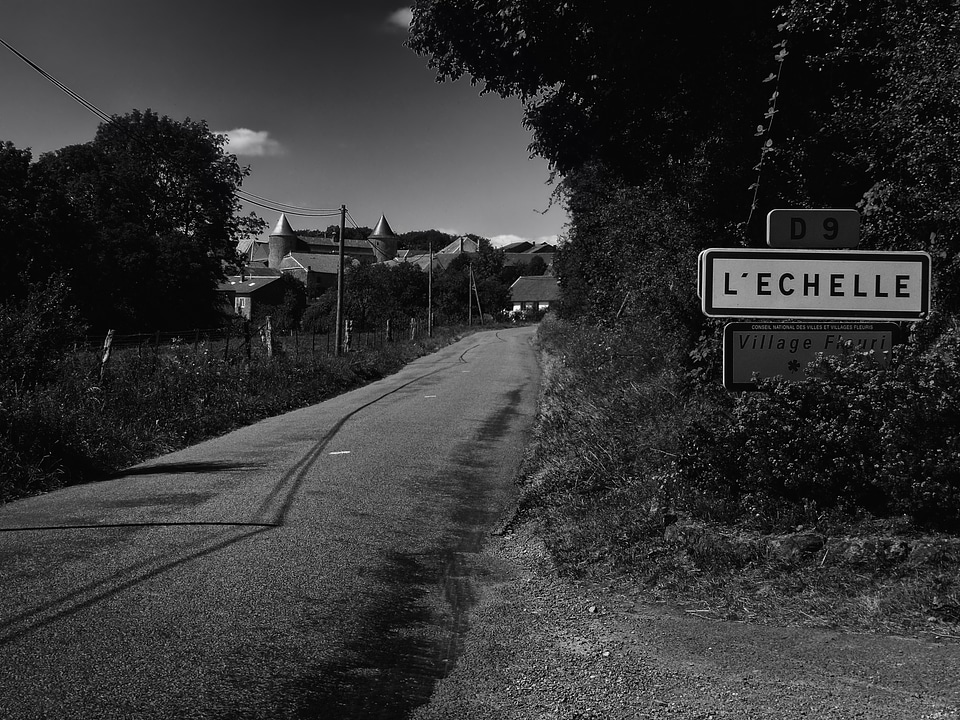 Road black and white trees