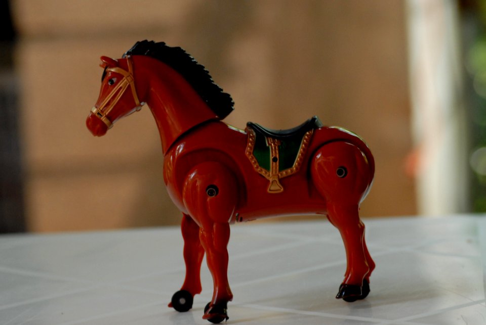 Horse Horse Like Mammal Stallion Horse Tack
