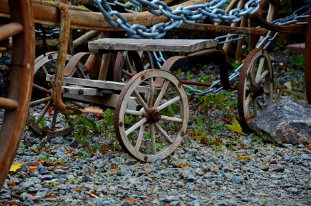Cart Wheel Vehicle Tree