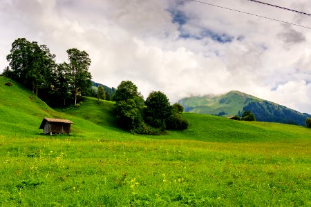 Grassland Sky Pasture Nature photo