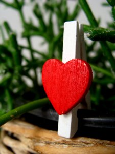 Love Flower Petal Heart