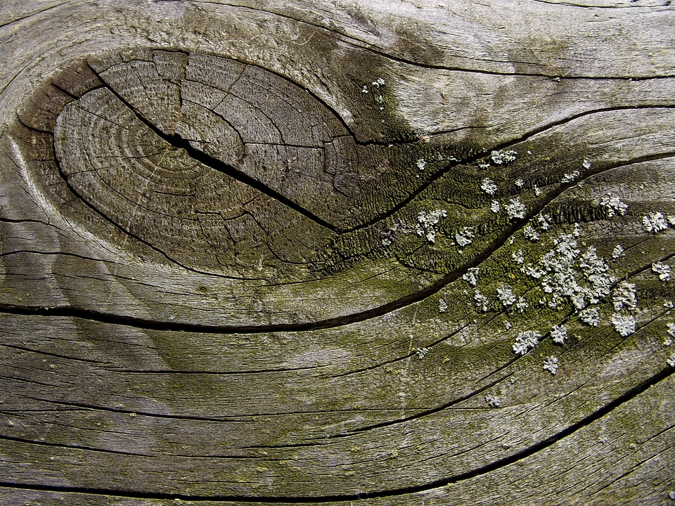 Wood weave board