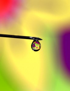 Yellow Water Close Up Drop