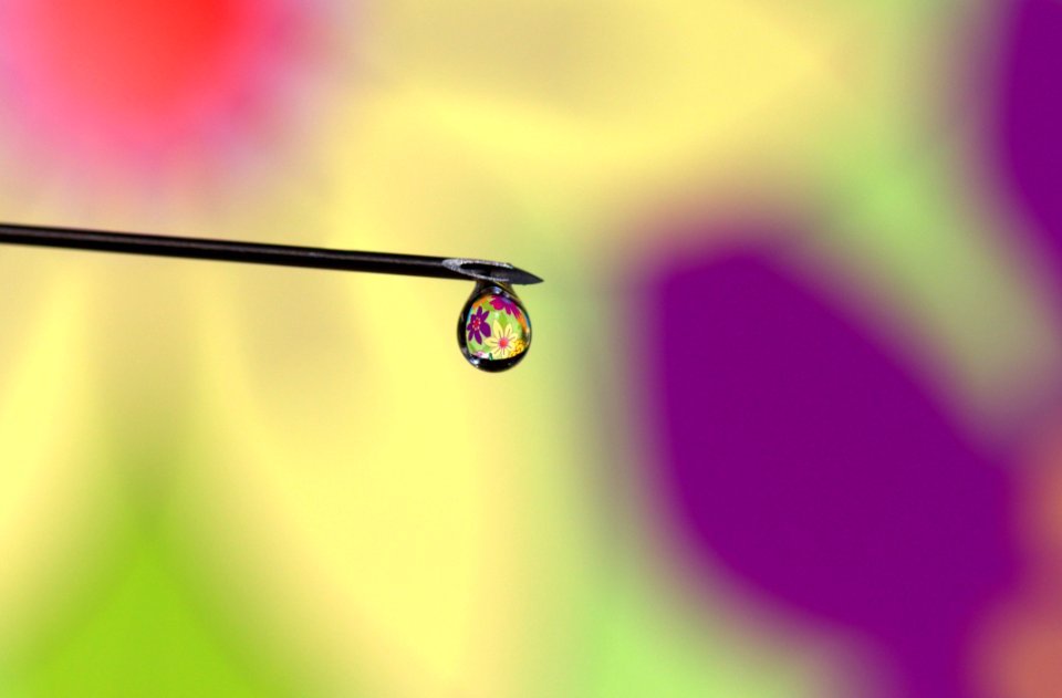 Drop Water Close Up Moisture
