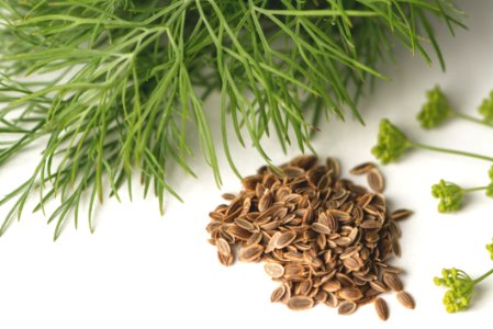 Herb Ingredient Black Cumin Vegetarian Food
