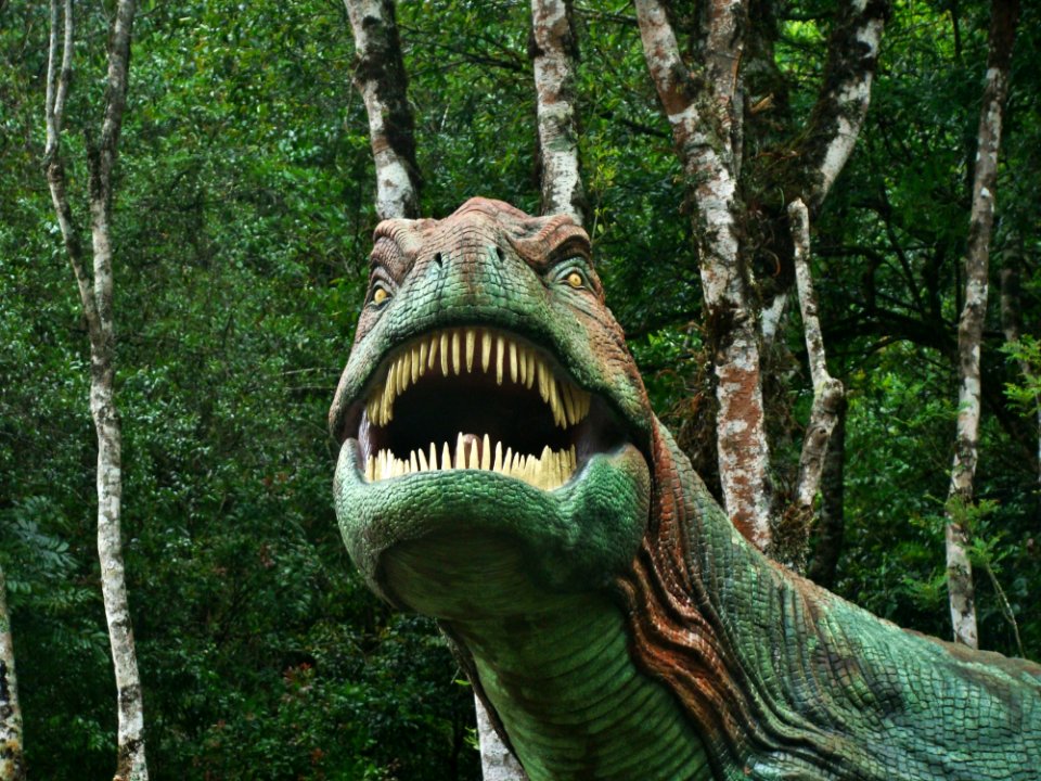 Dinosaur Tyrannosaurus Tree Forest