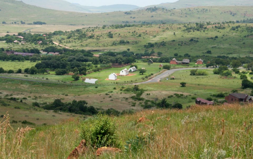 Ecosystem Grassland Nature Reserve Pasture