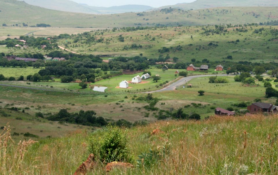 Ecosystem Grassland Nature Reserve Pasture photo