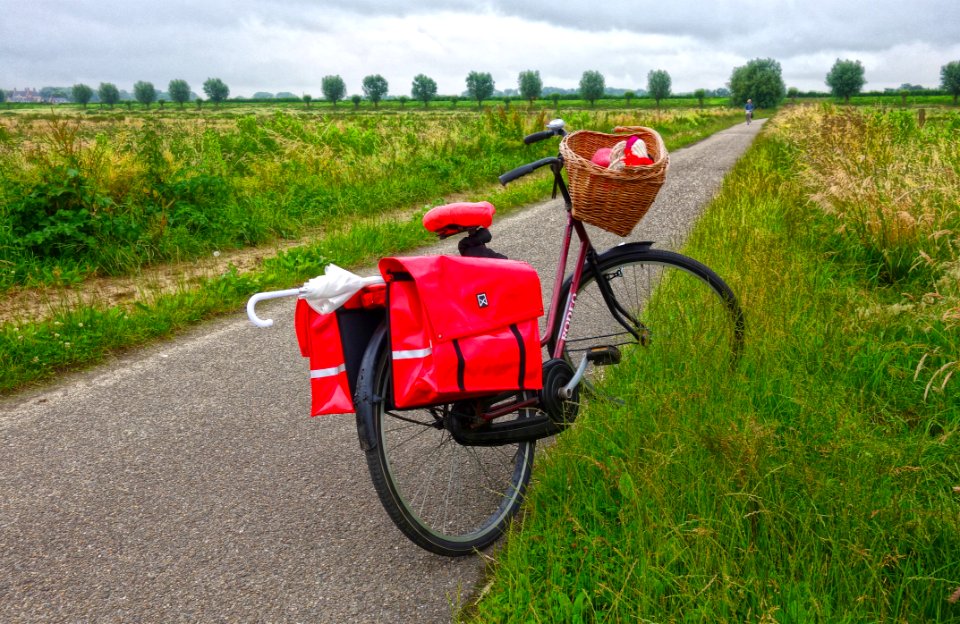 Motor Vehicle Plant Mode Of Transport Bicycle