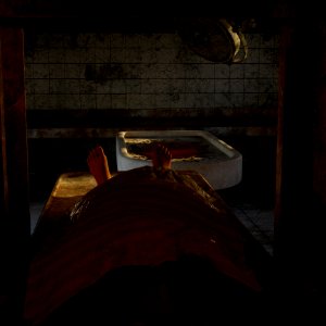 Darkness Wood Screenshot Still Life Photography