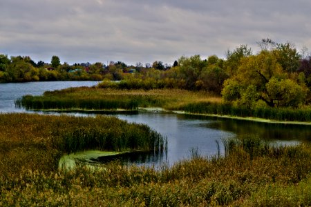 Water Reflection Nature Wetland photo