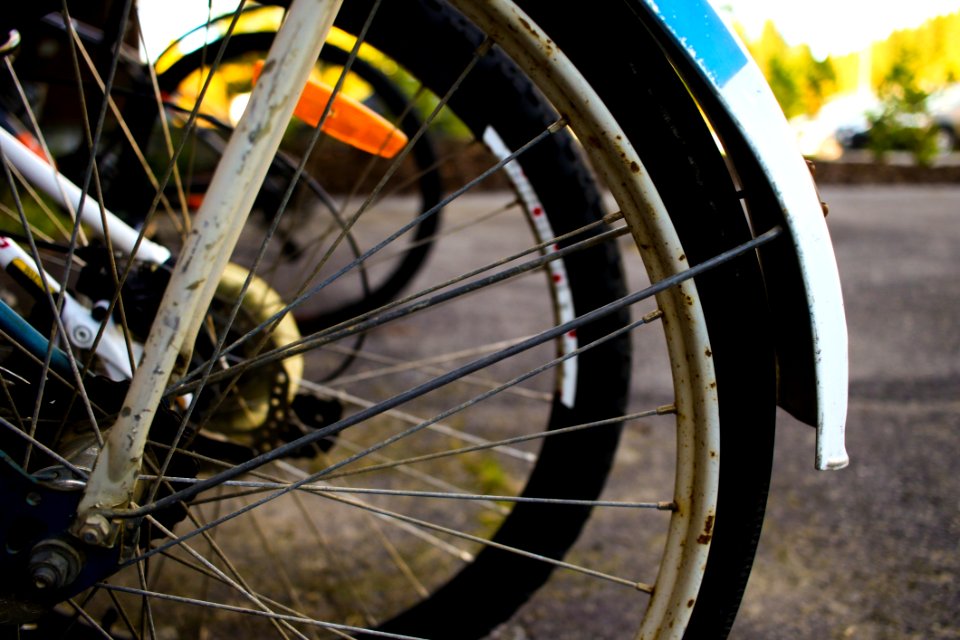 Bicycle Wheel Spoke Wheel Bicycle