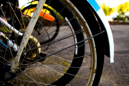 Bicycle Wheel Spoke Wheel Bicycle photo
