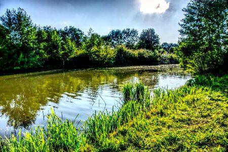 Reflection Water Nature Vegetation