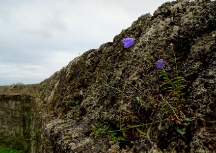 Rock Bedrock Outcrop Escarpment photo