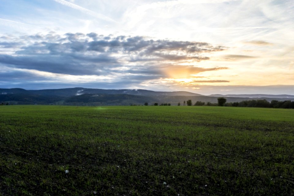 Grassland Sky Field Ecosystem