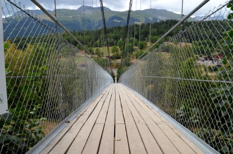Bridge Suspension Bridge Rope Bridge Fixed Link