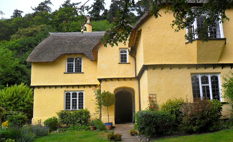 Home village yellow