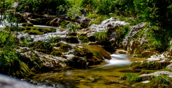 Stream Water Nature Vegetation photo